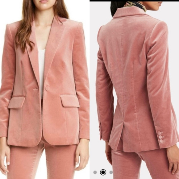 Frame Single Breast Lined Velvet Blazer Notch Lapel Pockets Old Rose - 0 - Picture 14 of 14